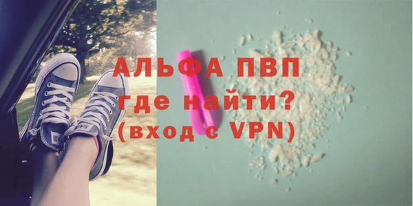 spice Бородино