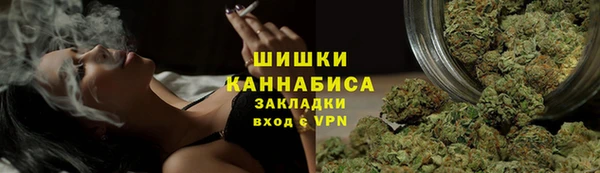 spice Бородино