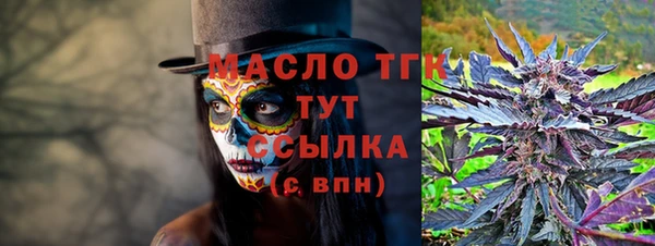 spice Бородино