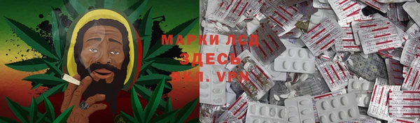 прущие грибы Верхнеуральск