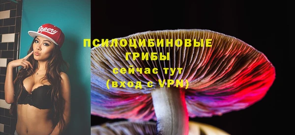 гидропоника Бугульма