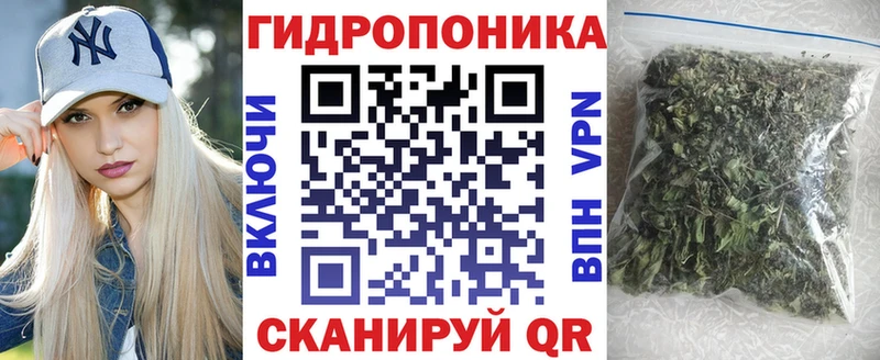 Бошки марихуана марихуана  Кировск 